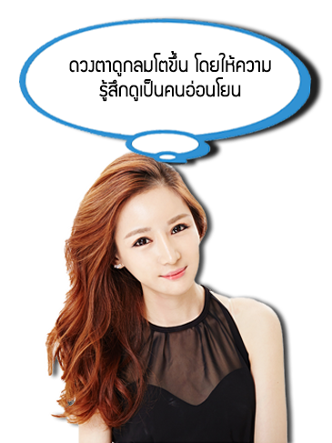 เปิดหางy42